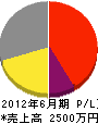 かわでん 損益計算書 2012年6月期