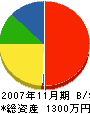 竹内商会 貸借対照表 2007年11月期