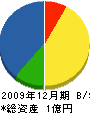 仙台ヨーコー 貸借対照表 2009年12月期