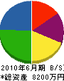 かつら造園建設 貸借対照表 2010年6月期