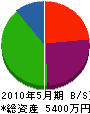 野口開発 貸借対照表 2010年5月期