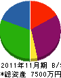 糸建工業 貸借対照表 2011年11月期