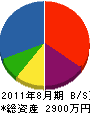 松井建設 貸借対照表 2011年8月期