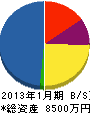 嶋田組 貸借対照表 2013年1月期