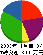 松尾総建 貸借対照表 2009年11月期