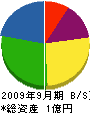 鎌田工務店 貸借対照表 2009年9月期