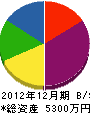 昭和化学防水工業 貸借対照表 2012年12月期