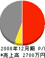 日本サンアンドグリーン 損益計算書 2008年12月期