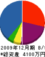 アイ・エス・ユー 貸借対照表 2009年12月期
