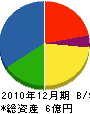 古川電機製作所 貸借対照表 2010年12月期
