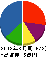 田中工業 貸借対照表 2012年6月期