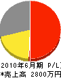 新建工業 損益計算書 2010年6月期