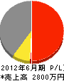 松沢工業 損益計算書 2012年6月期