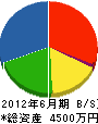 田中庭樹園 貸借対照表 2012年6月期