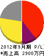 中沢電工 損益計算書 2012年9月期