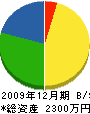 新井組 貸借対照表 2009年12月期