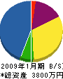 グリーンテック松ノ木 貸借対照表 2009年1月期