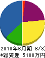 誠進電業社 貸借対照表 2010年6月期