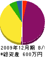 霜鳥孝晴 貸借対照表 2009年12月期