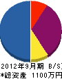 坂井電機 貸借対照表 2012年9月期