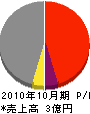 辻工務店 損益計算書 2010年10月期