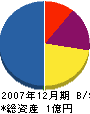 日本綜合 貸借対照表 2007年12月期