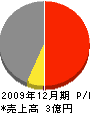 マコト建設 損益計算書 2009年12月期 マコト建設 損益計算書 2009年12月期
