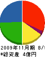 沼本興業 貸借対照表 2009年11月期