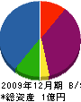 豊 貸借対照表 2009年12月期