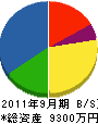 松崎組 貸借対照表 2011年9月期