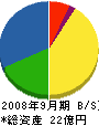ヤマカワ 貸借対照表 2008年9月期