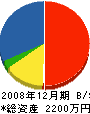 パナリ産業 貸借対照表 2008年12月期