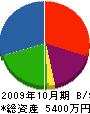 堀川道路サービス 貸借対照表 2009年10月期