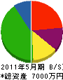 武田建設工業 貸借対照表 2011年5月期