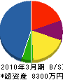 中村電気商会 貸借対照表 2010年3月期