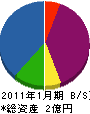 京葉レヂボン 貸借対照表 2011年1月期