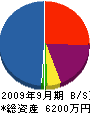 千葉創建 貸借対照表 2009年9月期