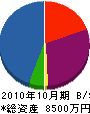 ＡＢＰＲＯＪＥＣＴ 貸借対照表 2010年10月期