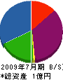 平井工務店 貸借対照表 2009年7月期