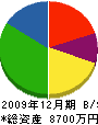 今井製材所 貸借対照表 2009年12月期