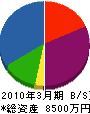 伊藤製材所 貸借対照表 2010年3月期