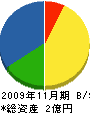 小泉建築 貸借対照表 2009年11月期