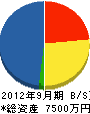ワイズ西日本 貸借対照表 2012年9月期