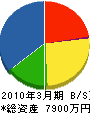 南勇次郎商店 貸借対照表 2010年3月期