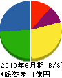 *電 貸借対照表 2010年6月期 *電 貸借対照表 2010年6月期