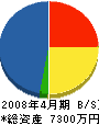石川塗装 貸借対照表 2008年4月期