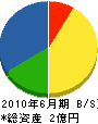 小坂組 貸借対照表 2010年6月期