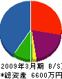 田中 貸借対照表 2009年3月期