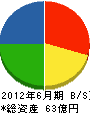 松本組 貸借対照表 2012年6月期