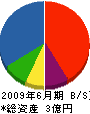 橋本組 貸借対照表 2009年6月期